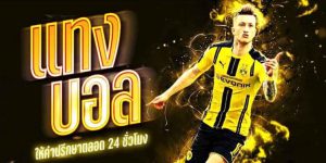 แทงบอลโลกอย่างฉลาด