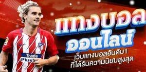 สูตรแทงบอลโลกยอดนิยม